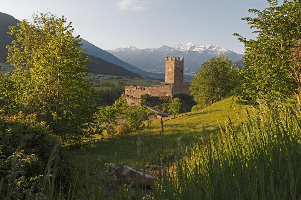 Pension & Residence Astoria Prato allo Stelvio Esterno foto